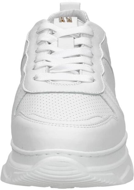 Sneakers Laag - large