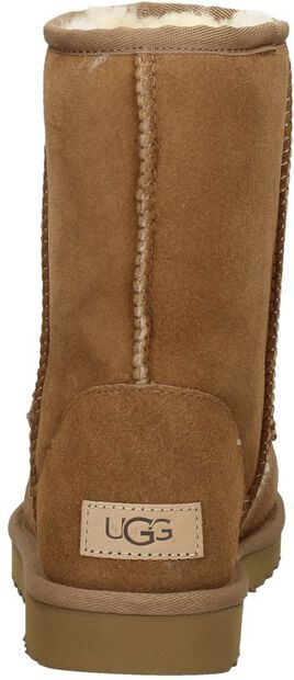 Classic Short II - large