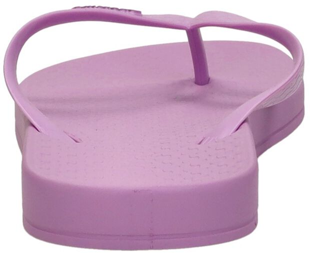 Anatomic Colors - large