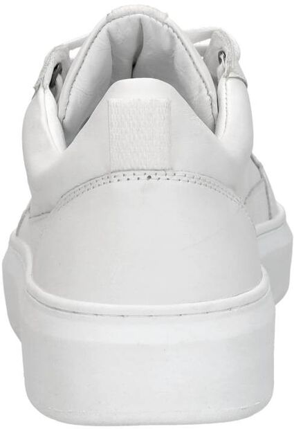 Sneakers Laag - large