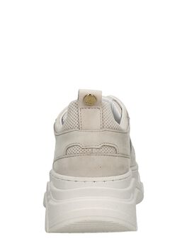 Women Low Cut Sneaker