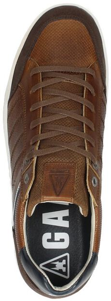 Wallace PRF M - large