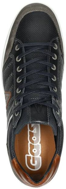 Gellis PRF M - large