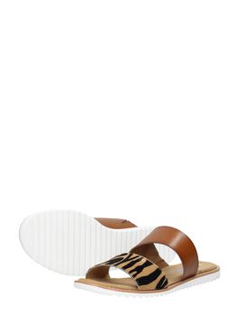 Blazing Star City Spy