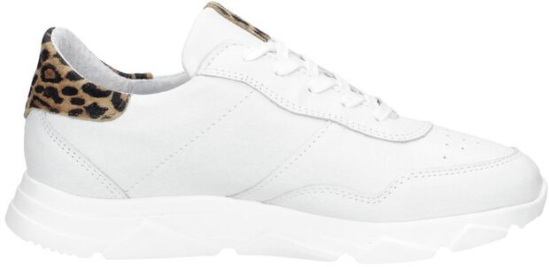 Dames sneakers - large