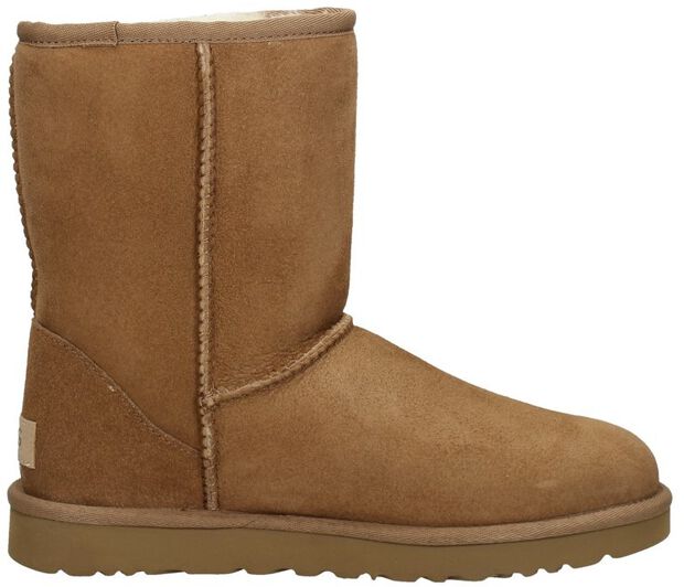 Classic Short II - large