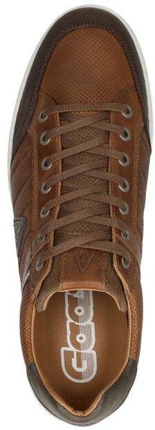 Gellis PRF M - large