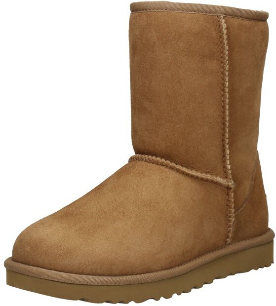 Classic Short II - large