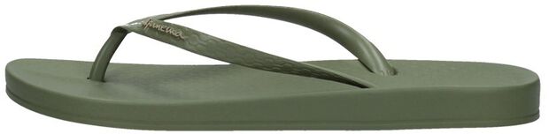 Anatomic Tan Colors - large