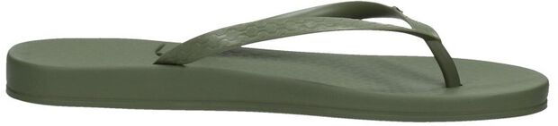 Anatomic Tan Colors - large