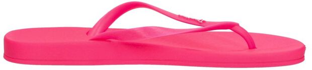 Anatomic Colors - large