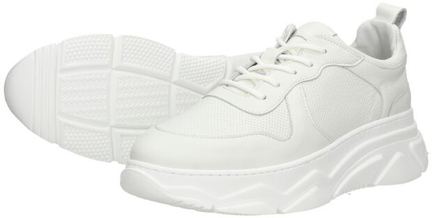Women Low Cut Sneaker - large