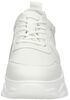 Women Low Cut Sneaker - small