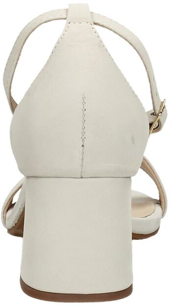 Brooklynn 15-A - large