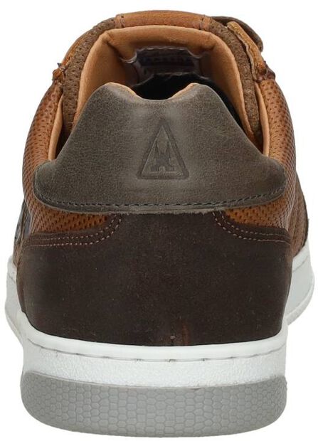 Gellis PRF M - large