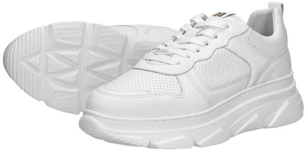 Sneakers Laag - large