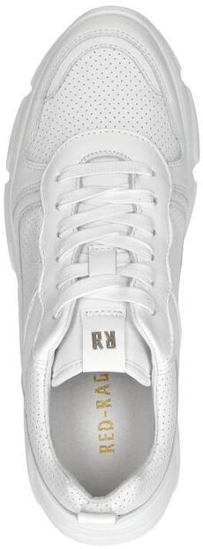 Sneakers Laag - large