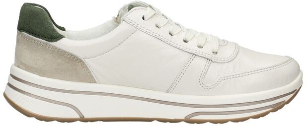 Sapporo-S 2.0 - large