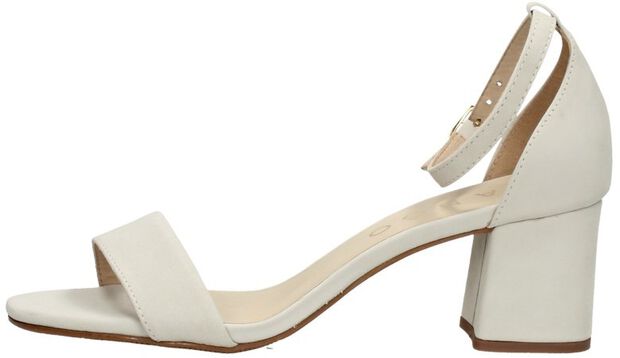 Brooklynn 15-A - large