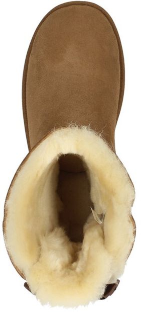 Bailey Bow II - large