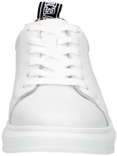 Dames sneakers - large