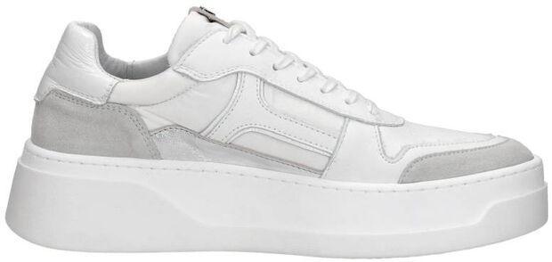 Sneakers Laag - large