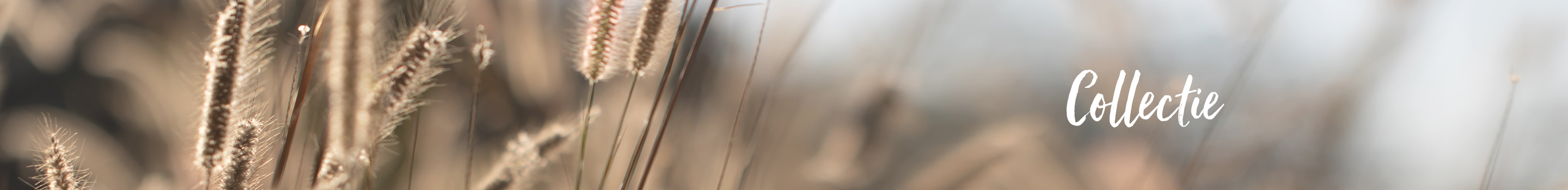 Kleding en accessoires